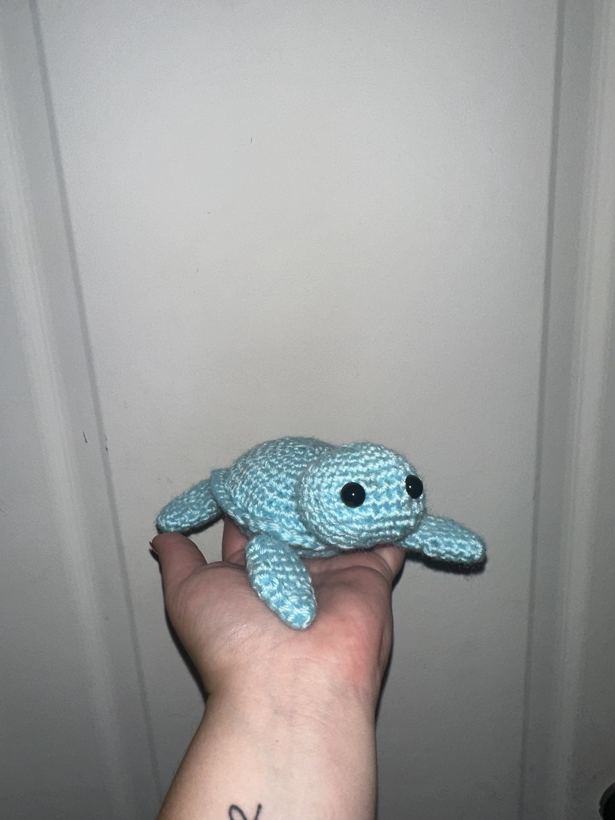 Big Brother Turtle