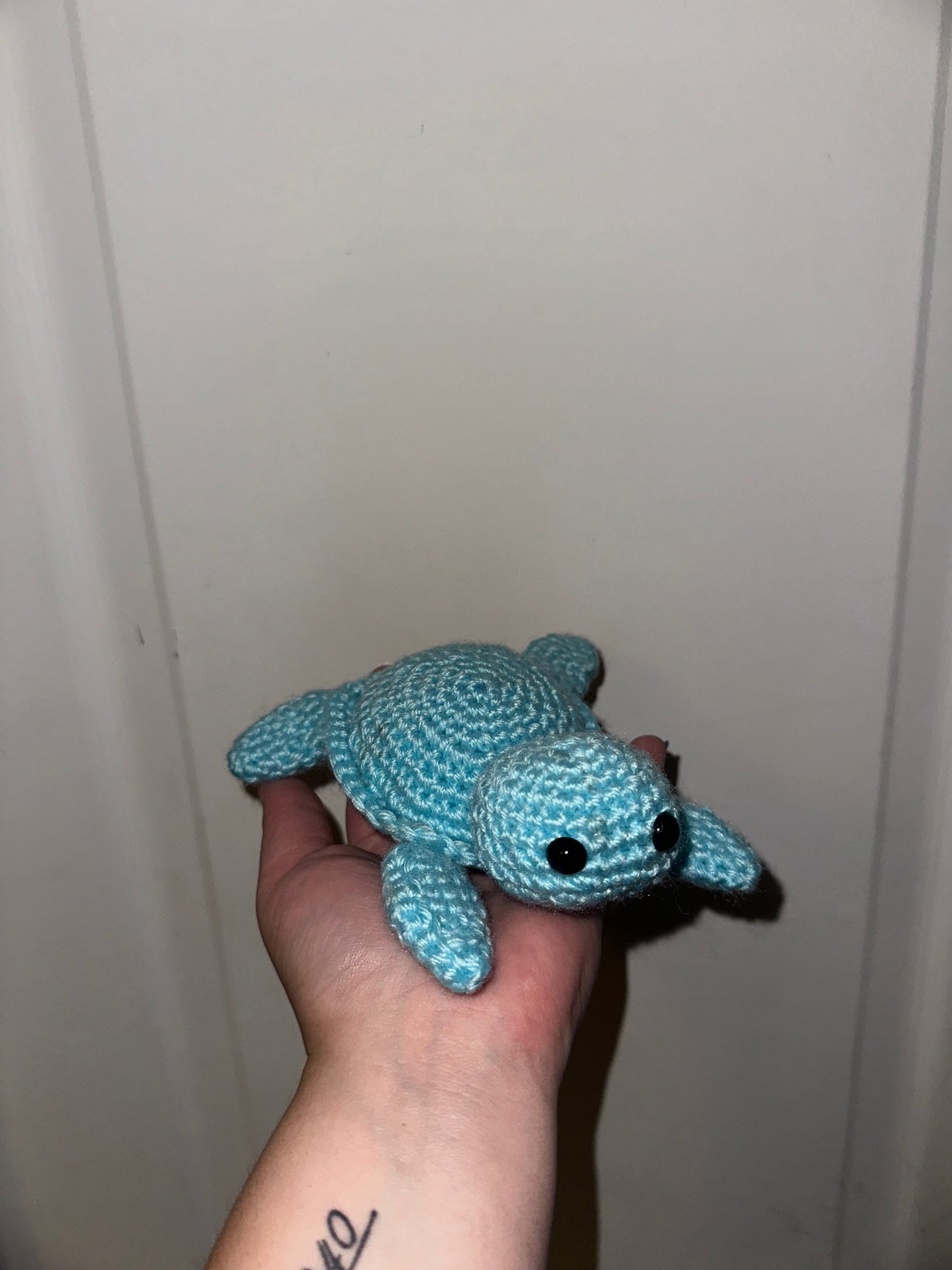 Big Brother Turtle
