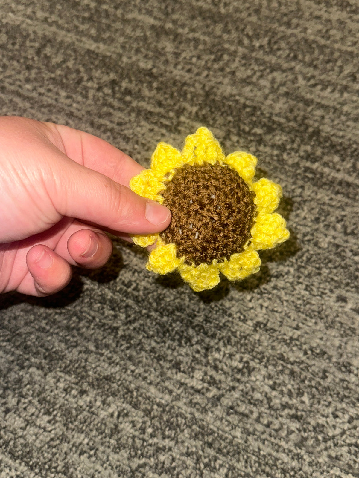 Sunshine Petals